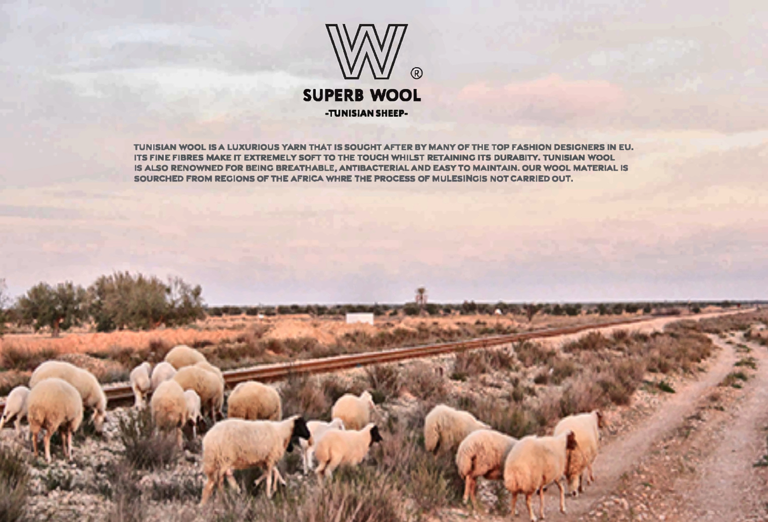 SUPERB WOOL STORY